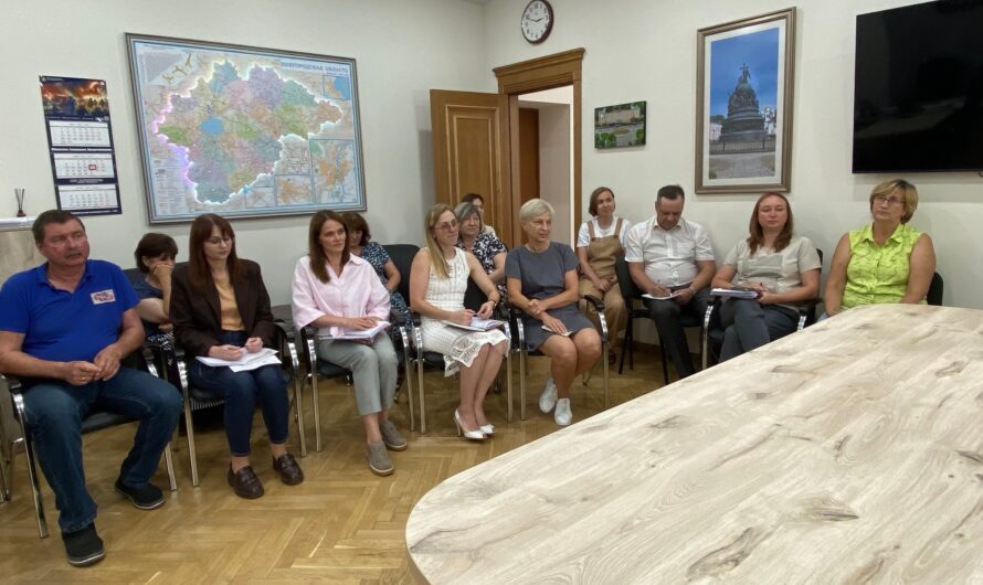 Создание первичек в рамках проекта «Помощь рядом»