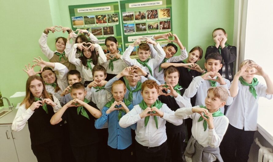 Итоги фотоконкурса «Моя любимая школа»